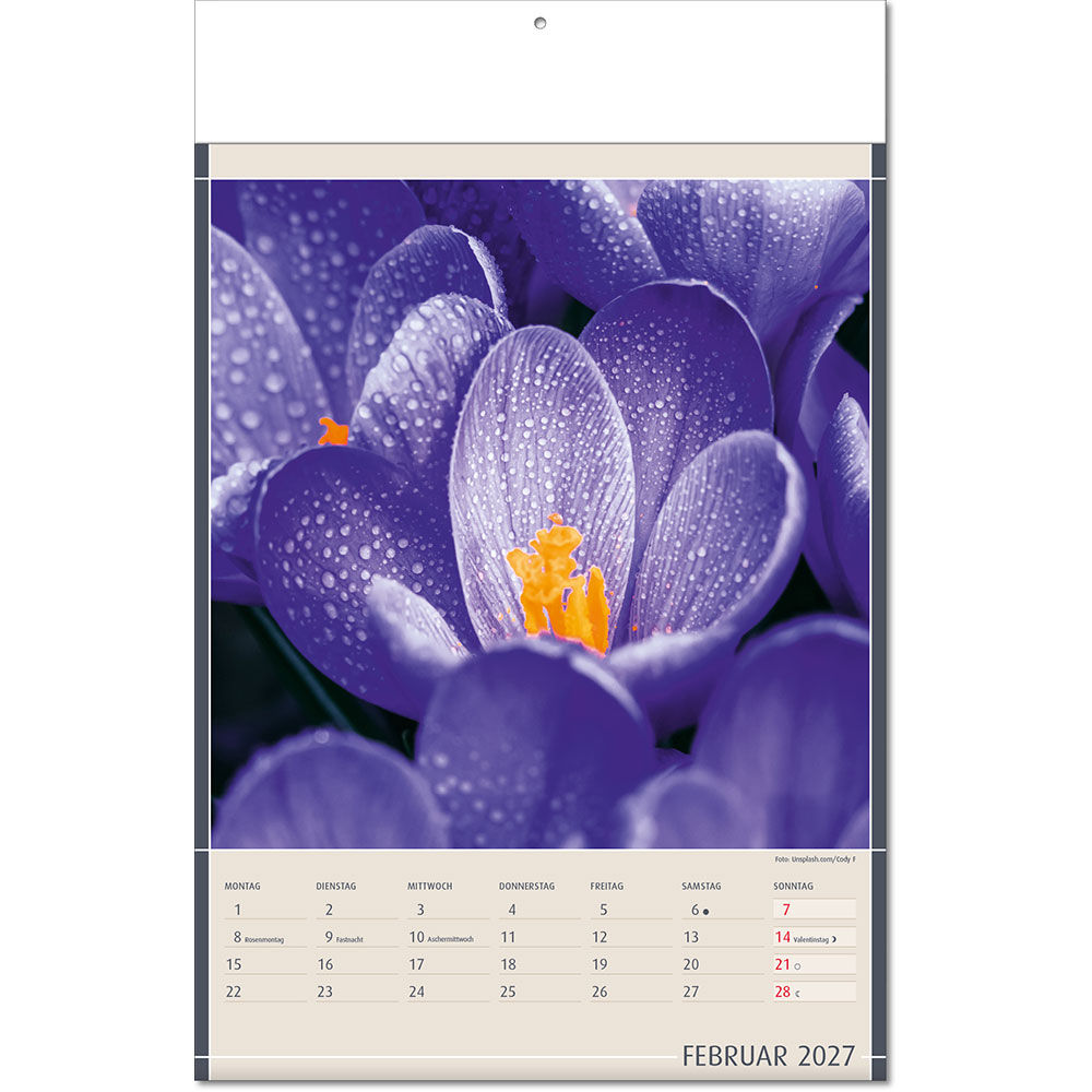 a_fundstuckedernatur_falzel_02