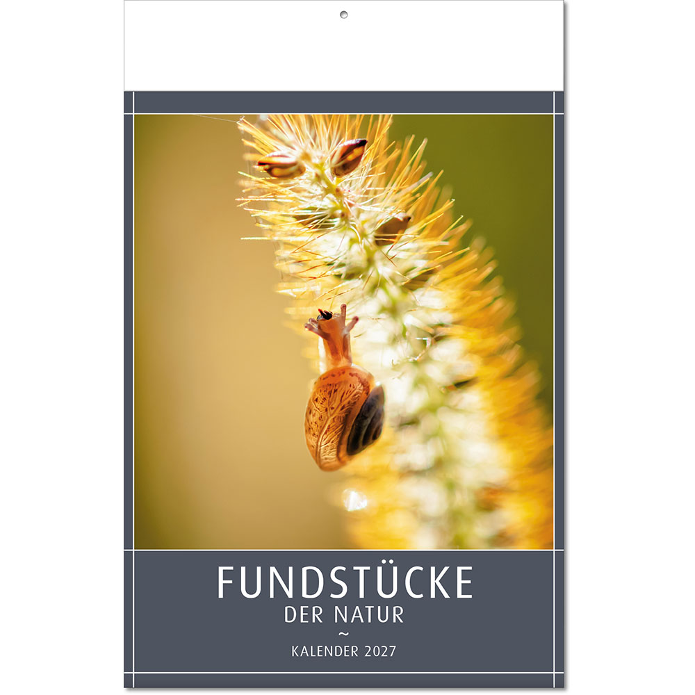 a_fundstuckedernatur_falzel_13